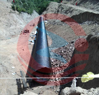 �����¸���